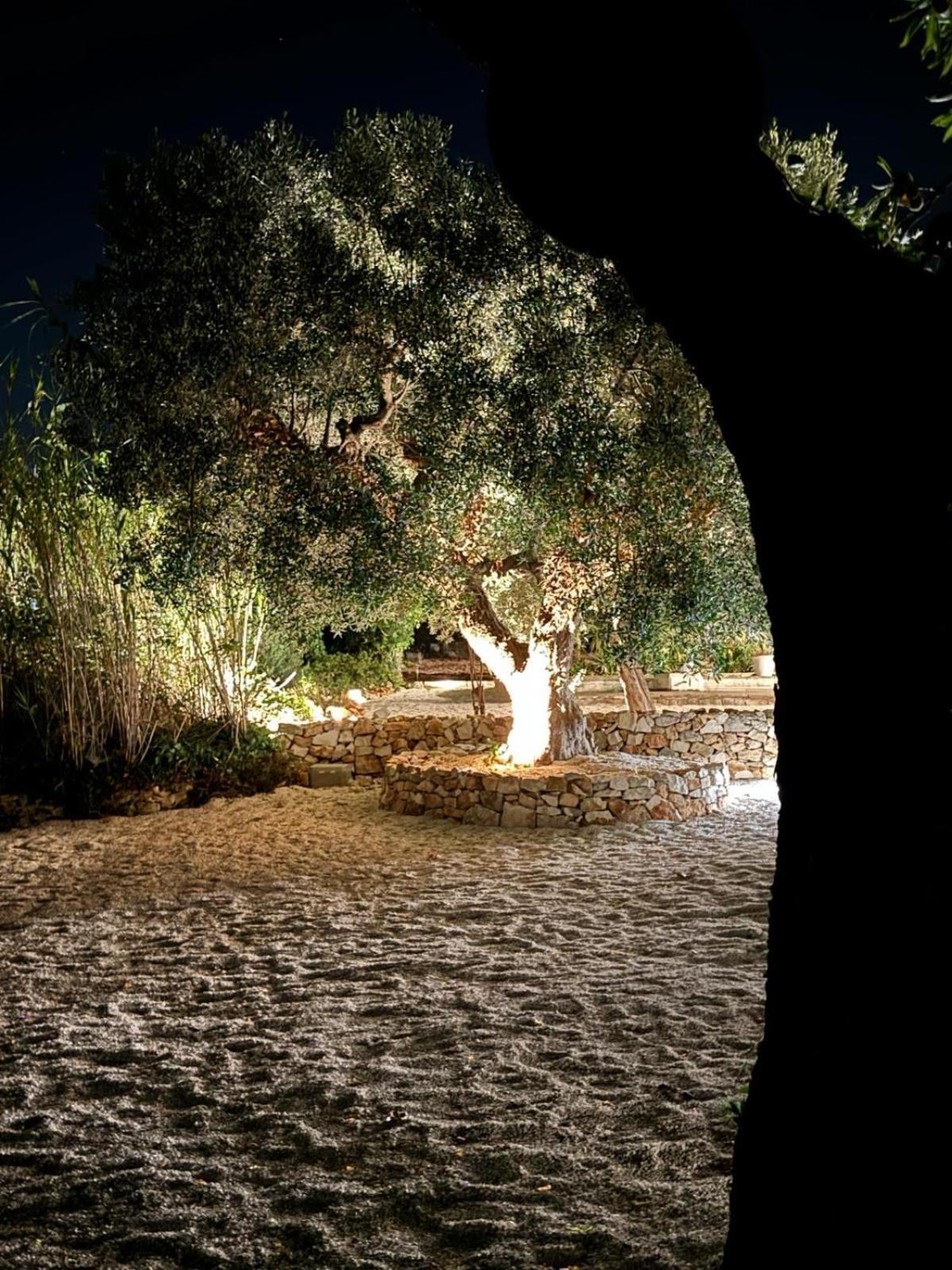 Penzion Trulli In Contrada - Monopoli Exteriér fotografie